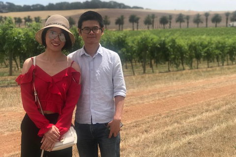 Private Tour 1-6 Passengers Wine Tasting & Or Sightseeing - New South Wales Tourism  6