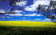 Get UnCorked In Clare Valley Tour From Adelaide - thumb 8