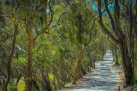 Get UnCorked In Clare Valley Tour From Adelaide - New South Wales Tourism  6