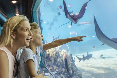 Gold Coast Theme Park Pass: Warner Bros. Movie World, Sea World And Wet'n'Wild - New South Wales Tourism  1