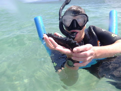 Great Barrier Reef Sailing And Snorkeling Cruise From Port Douglas - New South Wales Tourism  4