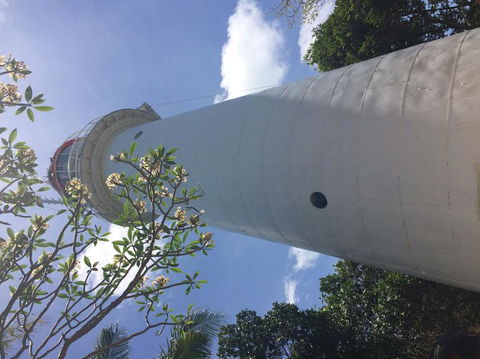 Great Barrier Reef Sailing And Snorkeling Cruise From Port Douglas - New South Wales Tourism  2