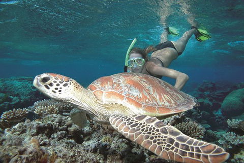 Great Barrier Reef Sailing And Snorkeling Cruise From Port Douglas - New South Wales Tourism  0
