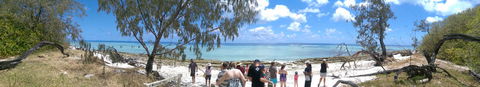 3-Day Southern Great Barrier Reef Tour Including Lady Musgrave Island - New South Wales Tourism  3