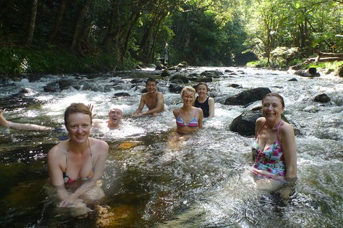 Daintree Rainforest, Cape Tribulation, Mossman Gorge In A Day - New South Wales Tourism  10