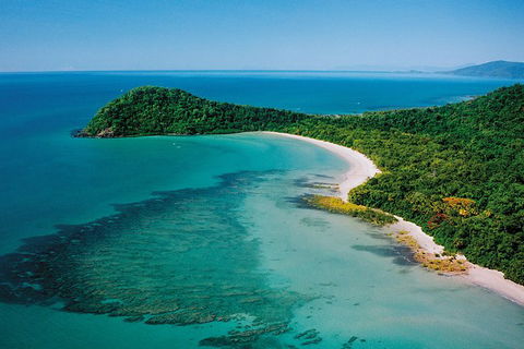 Daintree Rainforest, Cape Tribulation, Mossman Gorge In A Day - New South Wales Tourism  6