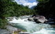 Daintree Rainforest, Cape Tribulation, Mossman Gorge In A Day - thumb 2