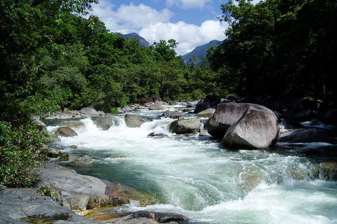 Daintree Rainforest, Cape Tribulation, Mossman Gorge In A Day - New South Wales Tourism  2