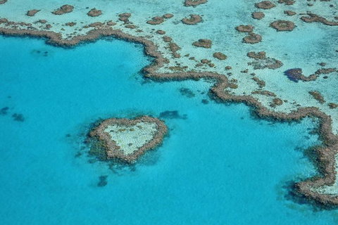Reef And Island Scenic Flight From Airlie Beach - New South Wales Tourism  0