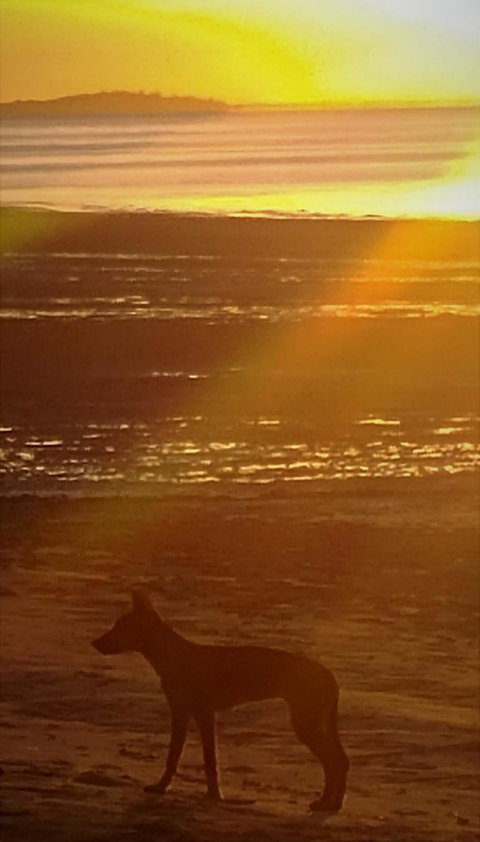 3-Day Fraser Island Resort Package - New South Wales Tourism  3