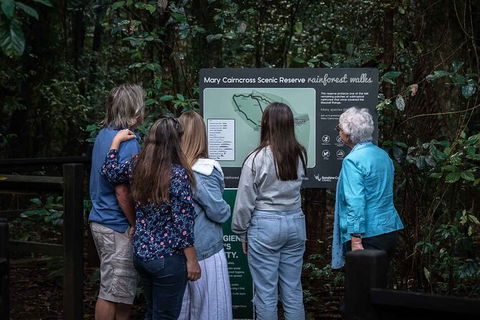 Sunshine Coast Hinterland And Noosa Day Trip From Brisbane Including Eumundi Markets And Ginger Factory - New South Wales Tourism  4
