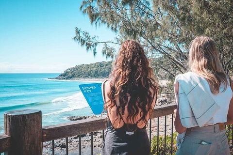 Sunshine Coast Hinterland And Noosa Day Trip From Brisbane Including Eumundi Markets And Ginger Factory - New South Wales Tourism  9