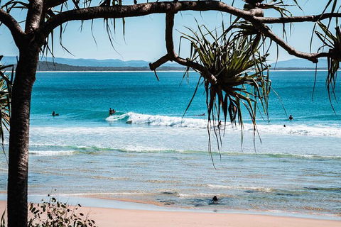 Sunshine Coast Hinterland And Noosa Day Trip From Brisbane Including Eumundi Markets And Ginger Factory - New South Wales Tourism  8