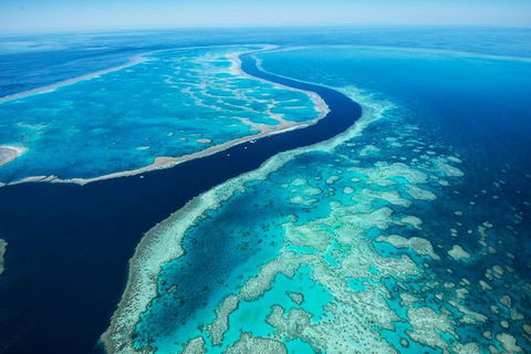 Fly & Cruise Package With Lunch - New South Wales Tourism  6