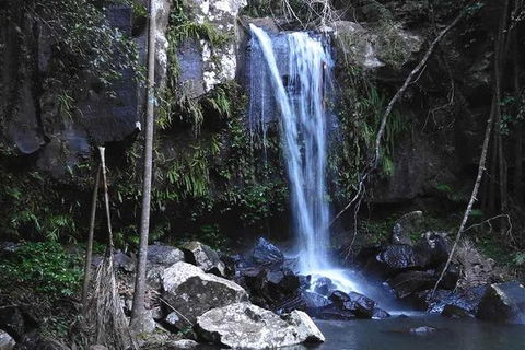 You Choose The Tour: Brisbane Private Chauffeur Driven Personal Tour - New South Wales Tourism  0