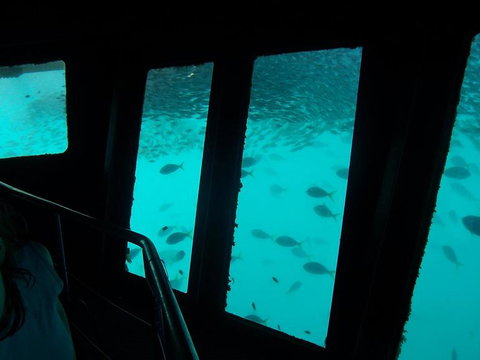 Great Barrier Reef Day Cruise To Reefworld - New South Wales Tourism  12