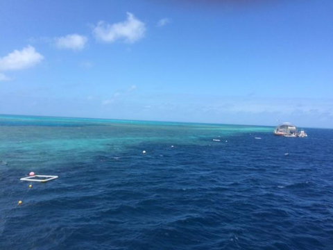Great Barrier Reef Day Cruise To Reefworld - New South Wales Tourism  8