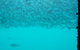 Great Barrier Reef Day Cruise To Reefworld - thumb 10