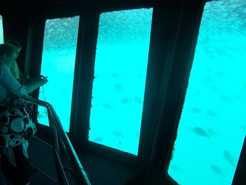 Great Barrier Reef Day Cruise To Reefworld - New South Wales Tourism  11