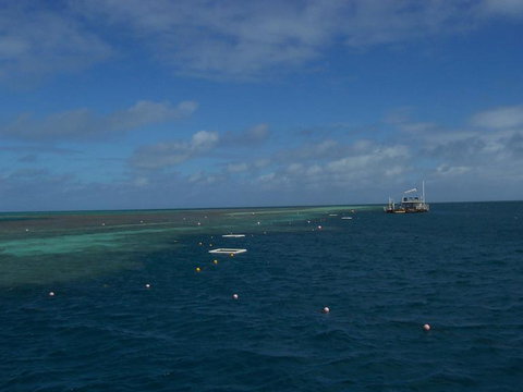 Great Barrier Reef Day Cruise To Reefworld - New South Wales Tourism  15