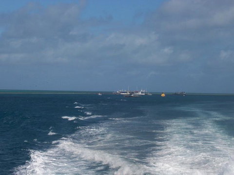 Great Barrier Reef Day Cruise To Reefworld - New South Wales Tourism  22