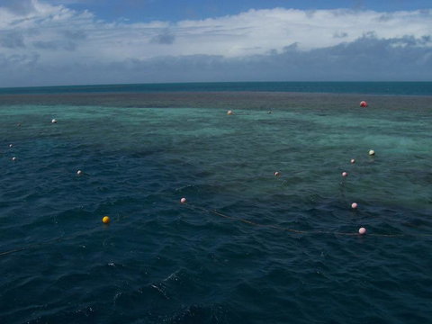 Great Barrier Reef Day Cruise To Reefworld - New South Wales Tourism  16