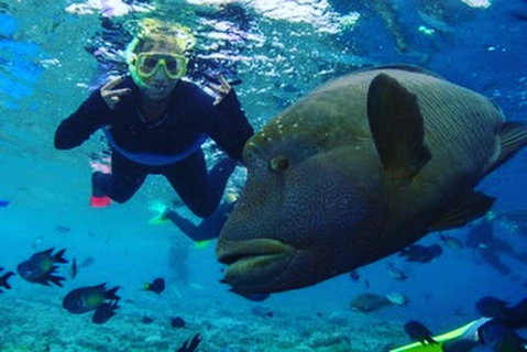 Great Barrier Reef Day Cruise To Reefworld - New South Wales Tourism  5