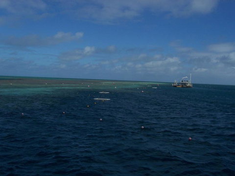 Great Barrier Reef Day Cruise To Reefworld - New South Wales Tourism  13