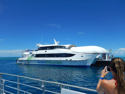 Great Barrier Reef Day Cruise To Reefworld - New South Wales Tourism  4