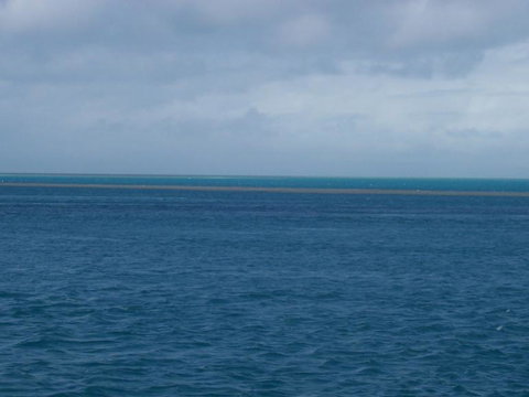 Great Barrier Reef Day Cruise To Reefworld - New South Wales Tourism  21