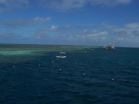 Great Barrier Reef Day Cruise To Reefworld - New South Wales Tourism  14