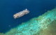 Great Barrier Reef Day Cruise To Reefworld - thumb 24