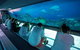 Great Barrier Reef Day Cruise To Reefworld - thumb 28