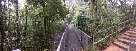 Cape Tribulation, Mossman Gorge, And Daintree Rainforest Day Trip From Cairns Or Port Douglas - New South Wales Tourism  4