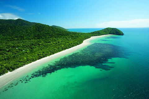 Cape Tribulation, Mossman Gorge, And Daintree Rainforest Day Trip From Cairns Or Port Douglas - New South Wales Tourism  0