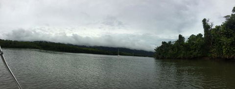 Cape Tribulation, Mossman Gorge, And Daintree Rainforest Day Trip From Cairns Or Port Douglas - New South Wales Tourism  3