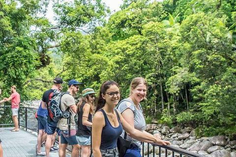 Cape Tribulation, Mossman Gorge, And Daintree Rainforest Day Trip From Cairns Or Port Douglas - New South Wales Tourism  15
