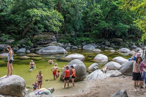 Cape Tribulation, Mossman Gorge, And Daintree Rainforest Day Trip From Cairns Or Port Douglas - New South Wales Tourism  14