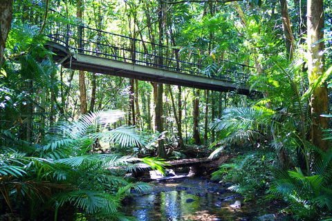 Cape Tribulation, Mossman Gorge, And Daintree Rainforest Day Trip From Cairns Or Port Douglas - New South Wales Tourism  7