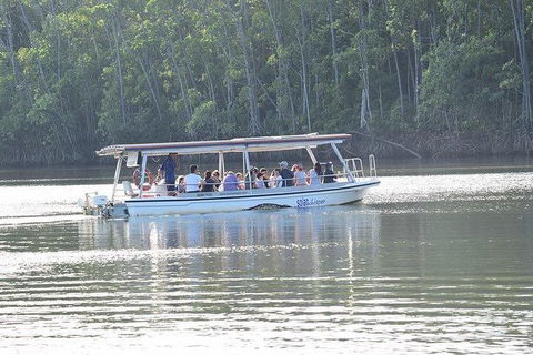 Daintree - Cape Tribulation & Atherton Tablelands Tours From Port Douglas - New South Wales Tourism  16