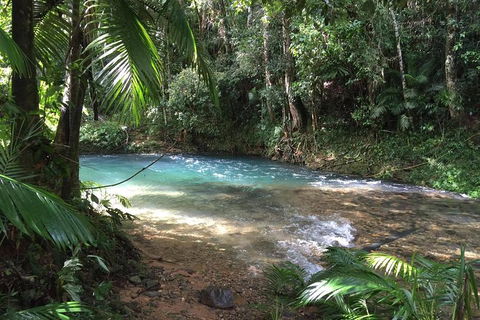 Daintree - Cape Tribulation & Atherton Tablelands Tours From Port Douglas - New South Wales Tourism  5