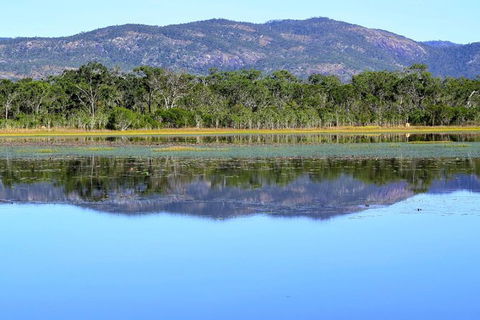 Daintree - Cape Tribulation & Atherton Tablelands Tours From Port Douglas - New South Wales Tourism  13