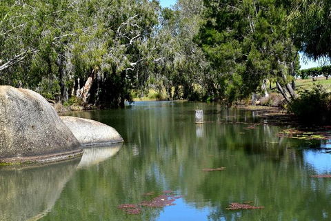 Daintree - Cape Tribulation & Atherton Tablelands Tours From Port Douglas - New South Wales Tourism  28