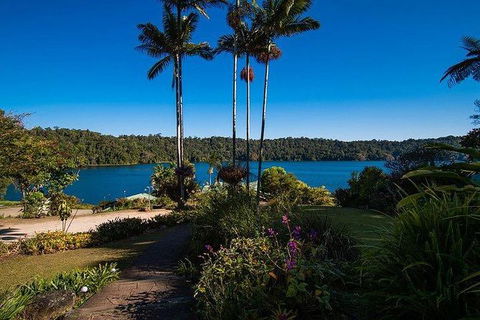 Daintree - Cape Tribulation & Atherton Tablelands Tours From Port Douglas - New South Wales Tourism  25