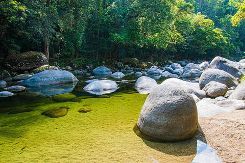 Daintree - Cape Tribulation & Atherton Tablelands Tours From Port Douglas - New South Wales Tourism  6