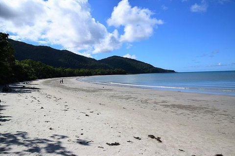 Daintree - Cape Tribulation & Atherton Tablelands Tours From Port Douglas - New South Wales Tourism  18