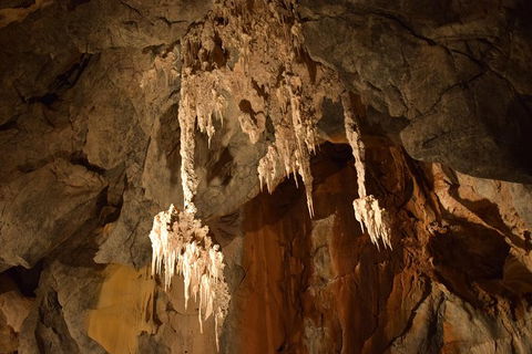 Daintree - Cape Tribulation & Atherton Tablelands Tours From Port Douglas - New South Wales Tourism  23