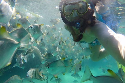 Moreton Island Snorkel And Sandboarding 4WD Day Trip From Brisbane - New South Wales Tourism  7