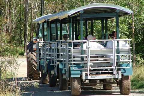 Whitsunday Crocodile Safari Including Lunch - New South Wales Tourism  6
