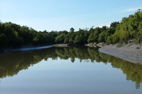 Whitsunday Crocodile Safari Including Lunch - New South Wales Tourism  3